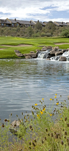 Golf-pic.gif